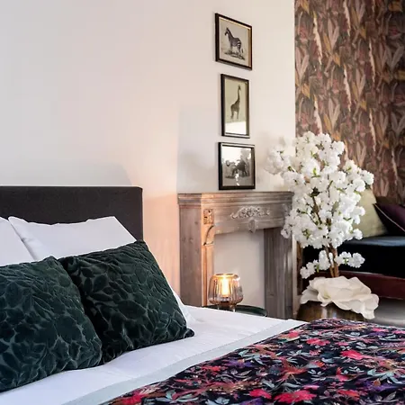 公寓 Le Henri Ii - Hyper Centre Du Mans